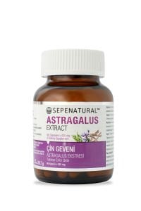 SEPE NATURAL Astragalus Çin Geveni Ekstresi 90 Kapsül x 430 mg
