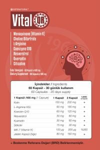 VitalQR Kolin L-Arjinin Koenzim Q10 Resveratrol Kuersetin Sitikolin Vit. K 60 Kapsül X 405 mg SEPE