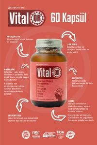 VitalQR Kolin L-Arjinin Koenzim Q10 Resveratrol Kuersetin Sitikolin Vit. K 60 Kapsül X 405 mg SEPE