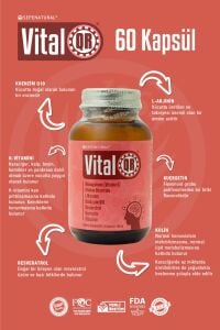 VitalQR Kolin L-Arjinin Koenzim Q10 Resveratrol Kuersetin Sitikolin Vit. K 60 Kapsül X 405 mg SEPE