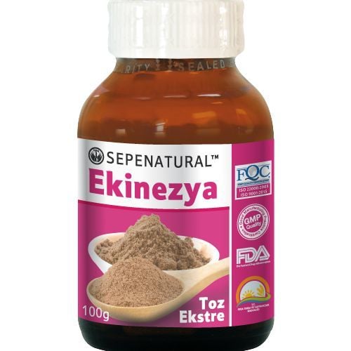 SEPE NATURAL Echinacea Extract Ekinezya Ekstresi Toz 100 gr