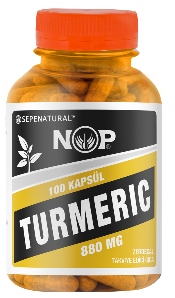 Zerdeçal Kapsül 100 x 880 mg Curcumin Kurkumin Turmeric