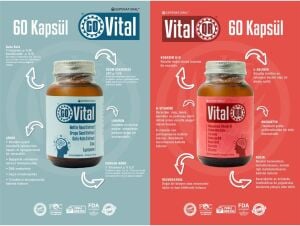 GOVITAL 60 Kapsül x 425 mg + VITALQR 60 Kapsül x 405 mg | İkili Set